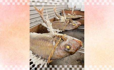 炭火焼　天然祝鯛（中）約800g【約3人前】 / 焼鯛 尾頭付き 魚貝類 タイ 真鯛 