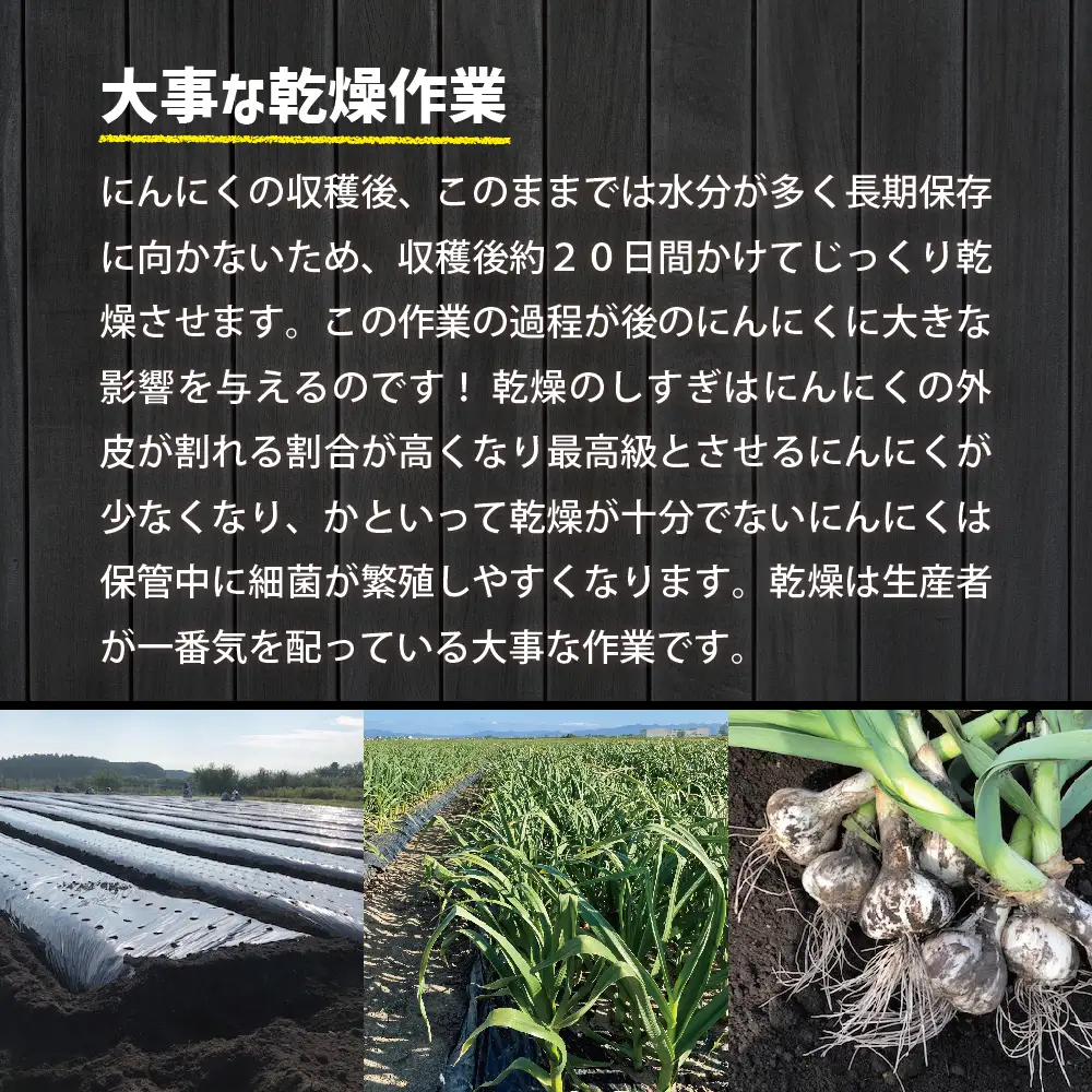 青森県産にんにく 上級品 Sサイズ 1kg ホワイト6片種 にんにく