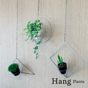 GRAVIRoN Hang Plants シリーズ Round 黒皮鉄（プランツハンガー） 観葉植物 プランター