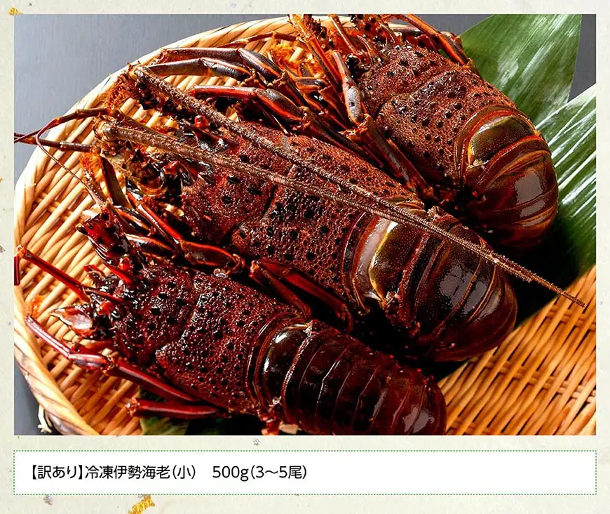 【訳あり！】【漁協直送！】冷凍伊勢海老（小）500g　(3～5尾) 【 期間限定 数量限定 魚介類 えび 伊勢えび イセエビ 日向灘 訳あり 伊勢海老 】