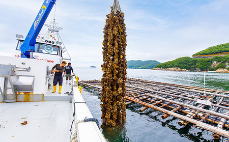 H-11【12月～3月限定】 室津産殻つき牡蠣2.2kg 