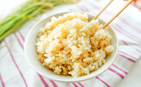 H-24 【農薬・化学肥料不使用】 前年度産 ミルキークイーン 玄米 4kg