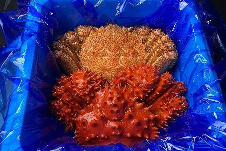 【北海道根室産】毛がに・花咲がに各400g前後×1尾 B-21004