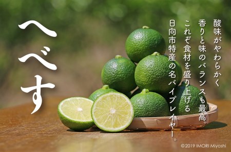 へべす香る 日向ひょっとこ踊り寿司～すし源特製 海鮮ちらし寿司～(1～2人前)