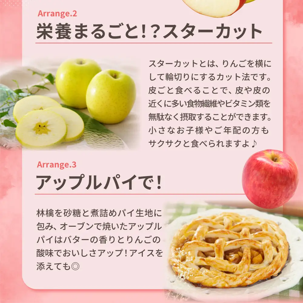【2027年1月前半発送】 りんご 青森産 約5kg サンふじ 確約 品種おまかせ2種以上 贈答用 特選～特秀