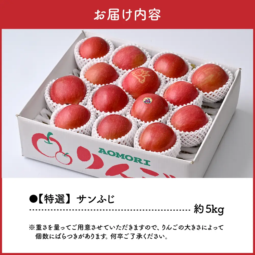 りんご　5kg【2026年11月下旬発送】青森産りんご 春秋園の「特選」大玉完熟サンふじ