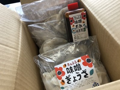 お試しセット 居酒屋のおかあちゃん手作り ひと口味噌ぎょうざ 30個(15個×2袋) H136-034