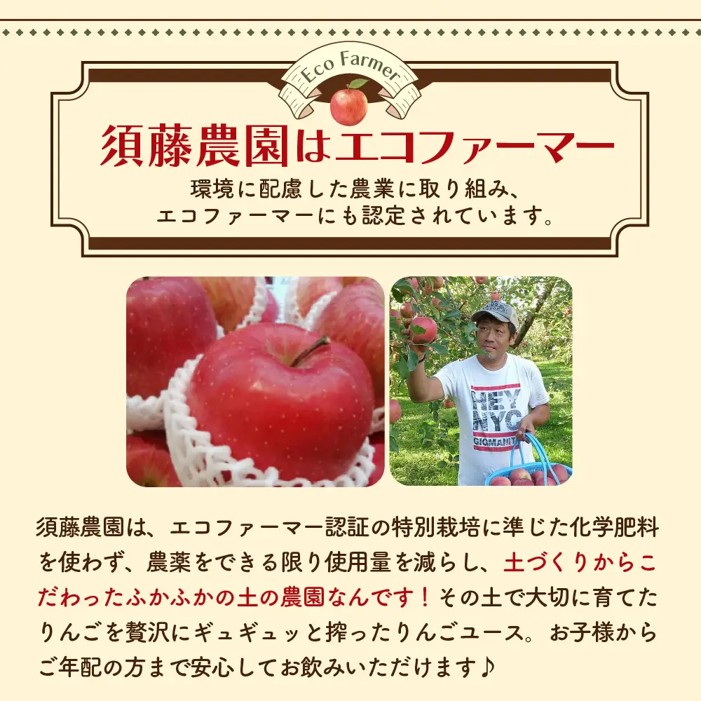 りんごジュース １L×3本 りんご5種ブレンド農家のこだわり100％ストレート森の雫 