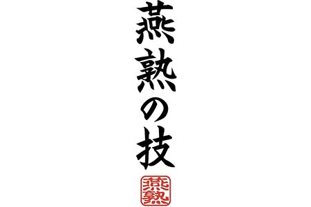 EJT-400 燕熟の技 鉄製 フライパン26cm
