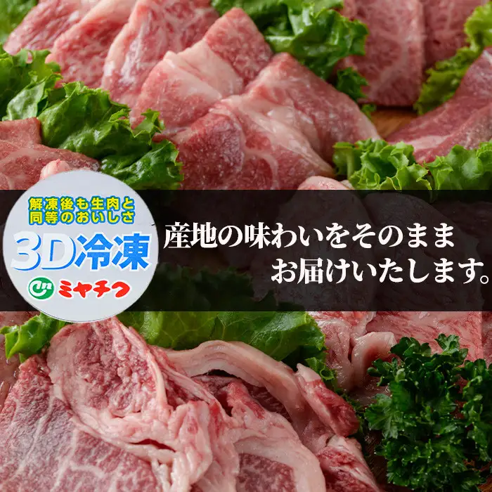 ＜宮崎牛・3D冷凍＞6部位食べ比べ焼肉(合計600g)牛肉  国産 冷凍【R-27】【株式会社ミヤチク】