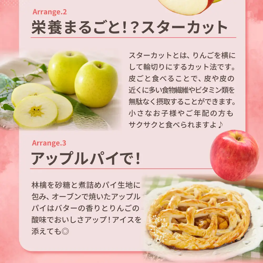 【2026年12月前半発送】 【訳あり】 りんご 約10kg サンふじ確約 青森産 品種おまかせ2種以上