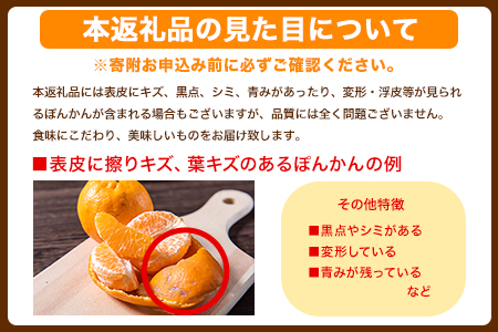 『清晃アグリ』のご家庭用ポンカン 約4kg(M-3Lサイズ)《12月中旬-1月中旬頃出荷》