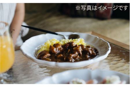 【波佐見焼】花リム プレート 2枚セット 食器 皿 【イロドリ】 [KE14] 波佐見焼