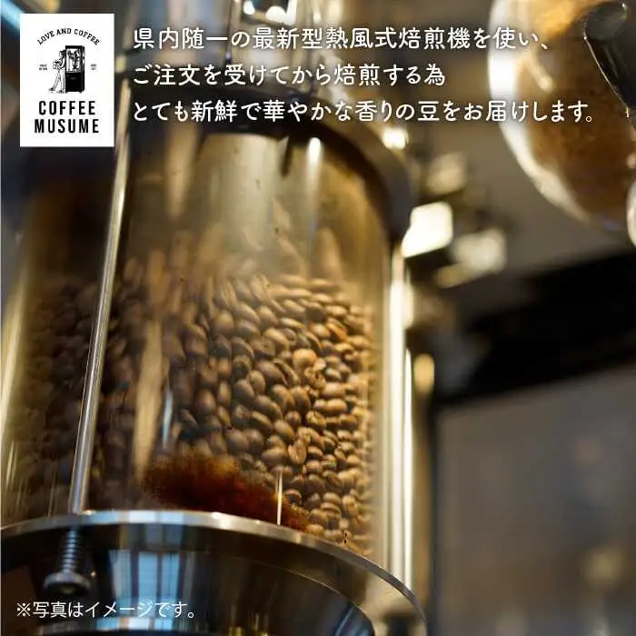 COFFEE MUSUME オリジナルブレンド ムスメシグニチャー200g（粉タイプ）全6回定期便 コーヒー豆 【COFFEE MUSUME】 [TE06]