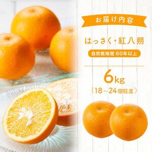 自然栽培歴　60年以上　はっさく・紅八朔　6kg
