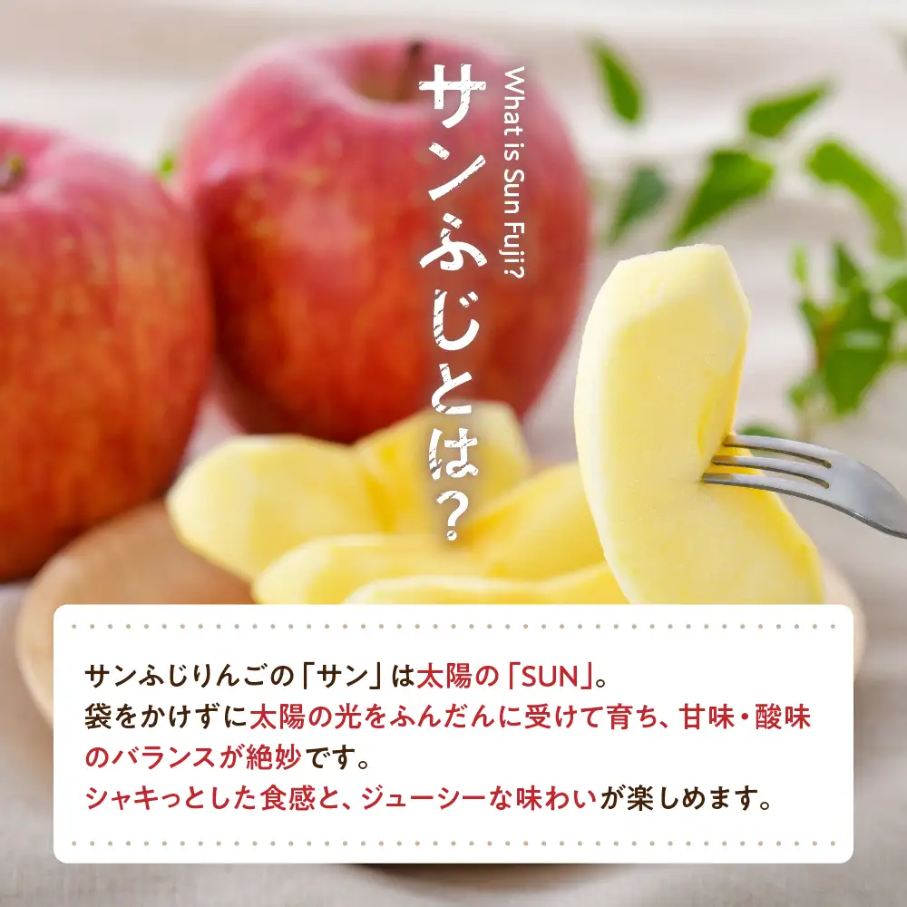 【2027年2月前半発送】 りんご 約10kg サンふじ 青森産 糖度 13度以上 贈答用 特選～特秀