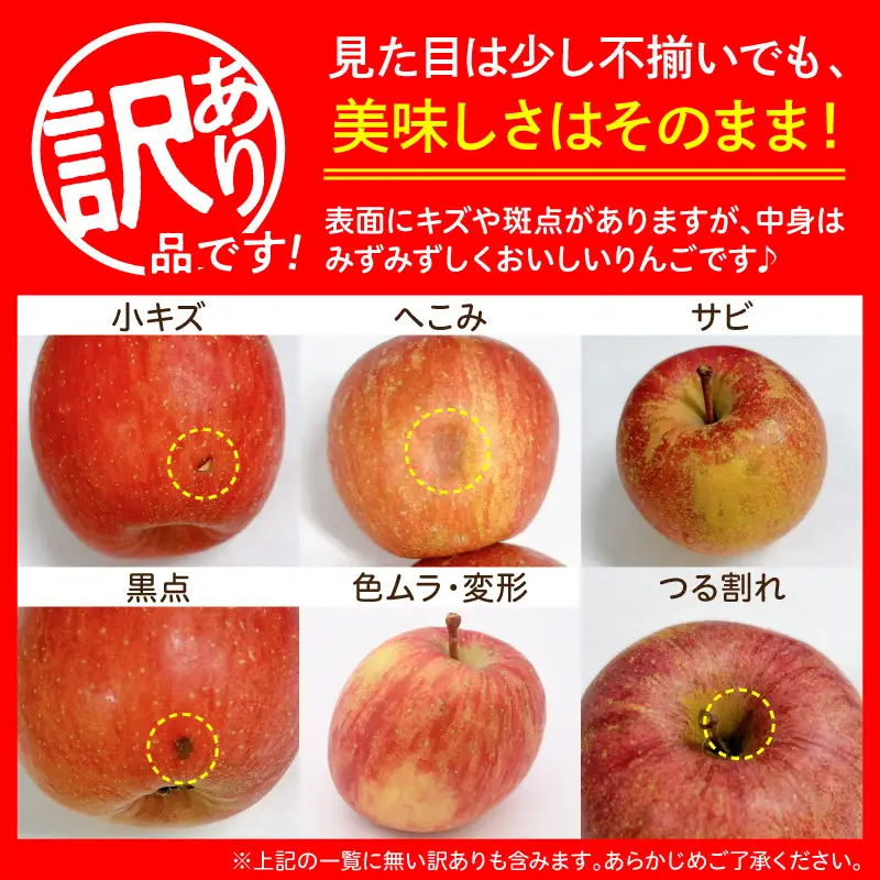 【2027年1月上旬発送】《訳あり》 りんご 約10kg サンふじ 青森産 りんご