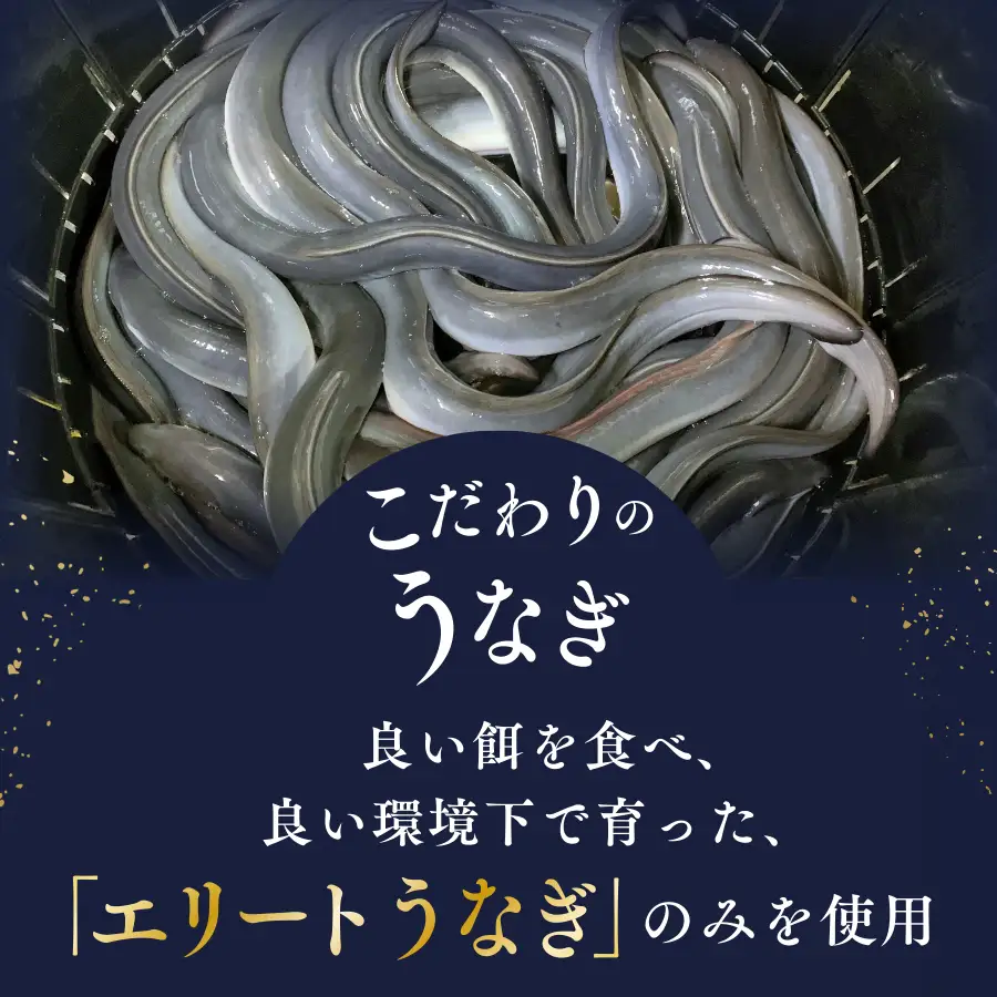 うなぎ 国産 蒲焼 4人前  うなぎ