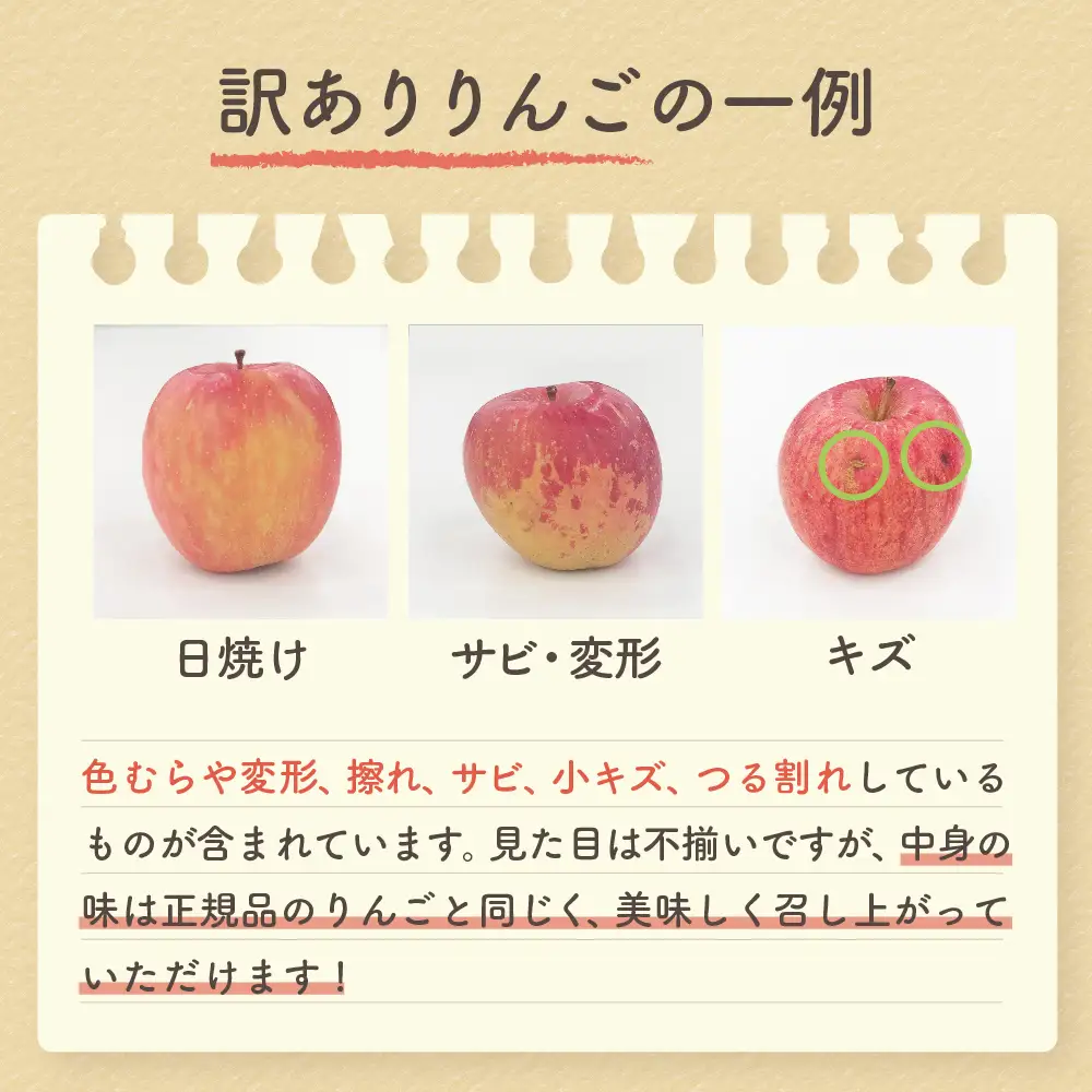 【2026年12月中旬発送】【訳あり】 りんご 約5kg 青森県産 サンふじ 家庭用 りんご