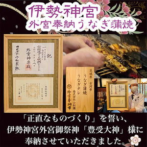 うなぎ蒲焼6人前（1人前約160g×6）贈答用パッケージ_AT12