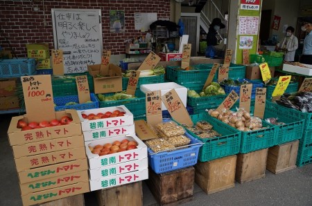 目利きのプロ 八百屋厳選 野菜詰め合わせセット（8～10種類お届け） H151-010