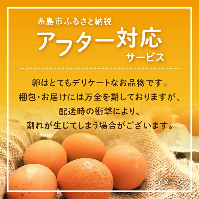 【全3回定期便】卵 30個×3ヶ月 てつやとのりこの玉子 卵 たまご [AWD006]