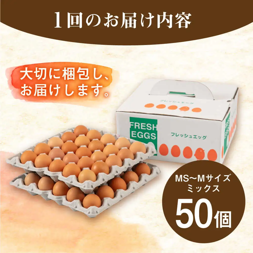 【全3回定期便】卵 50個×3ヶ月 てつやとのりこの玉子 卵 たまご [AWD007]