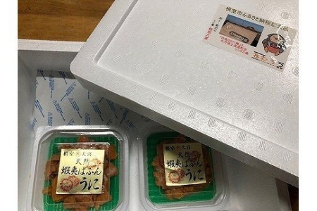 エゾバフンウニパック詰め100g×2P[11月中旬以降発送] C-73013