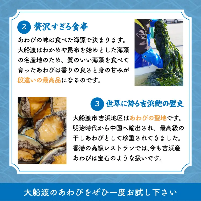 あわびの精 醤油 100ml×2本 ＼ あわび ／