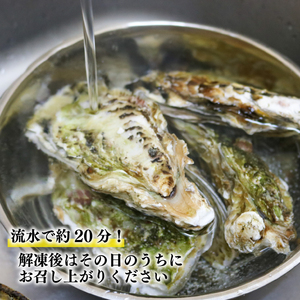 牡蠣 5個 ほや 180g×2袋 セット 殻付き牡蠣 生食用  冷凍 産地直送  ほや ホヤ Hoya 串焼き フライ ごはん 夕飯 おかず おつまみ 晩酌 米 丼 魚介類 魚貝類 海鮮 三陸産 国産 岩手県 大船渡市