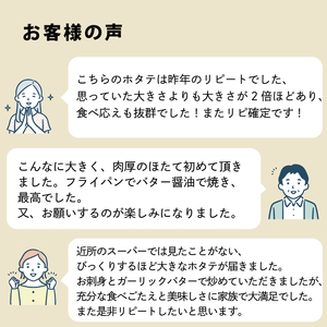 超特大 2Lサイズ ホタテ貝柱 500g  ＼ 帆立 ／