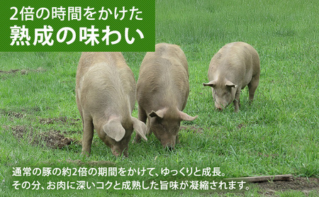 放牧豚 遊ぶた 2.68kg バラエティーセット 豚肉