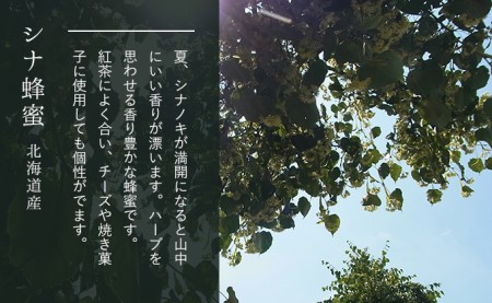 【国産純粋蜂蜜】北海道産 はちみつ5種食べ比べ 2.5kg (500g×5本) アカシア・クローバー・シコロ・シナ・オオハンゴウソウ［ナルセ養蜂場］【 はちみつ ハチミツ 蜂蜜 ハニー 健康 美容 料理 純粋 ギフト プレゼント 詰め合わせ 北海道 十勝 幕別 】