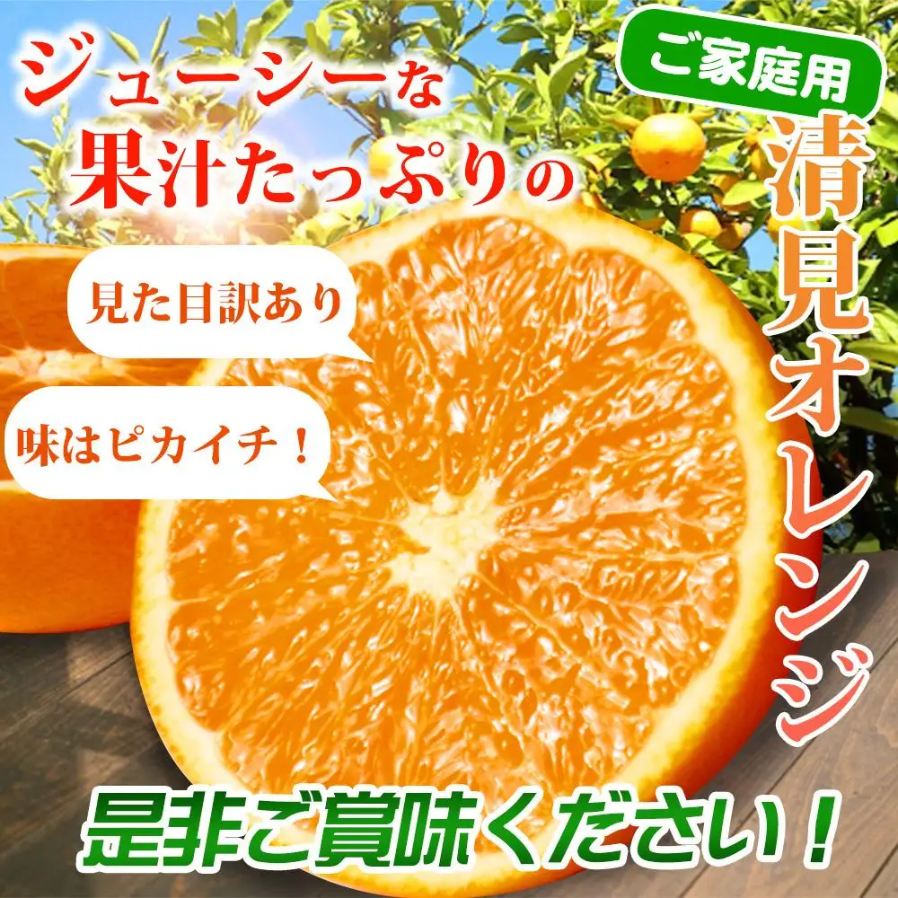 ［ご家庭用訳アリ］紀州有田産清見オレンジ　7.5kg［2027年3月下旬以降発送］［先行予約］［UT54］