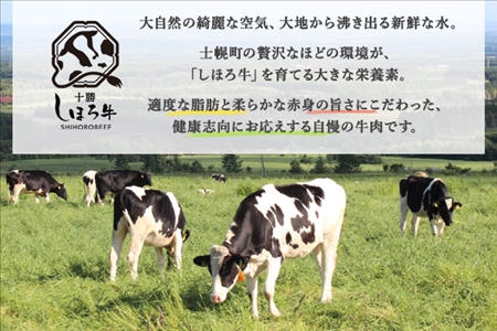 北海道 しほろ牛 ハンバーグ150g 6個 セット 肉 牛 赤身肉 国産牛 肉 ビーフ 牛肉 冷凍 お取り寄せ 送料無料 十勝 士幌町【L13】