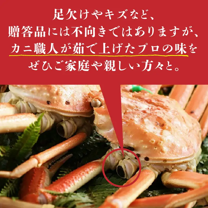 （訳あり）茹で間人がに 2匹 Bセット　11/10～11/21発送予定　ボイル松葉ガニ・ゆで松葉ガニ・松葉蟹・山陰・日本海・間人蟹・間人ガニ・間人かに・ボイルガニ・ズワイガニ・タグ付き・ブランド蟹
