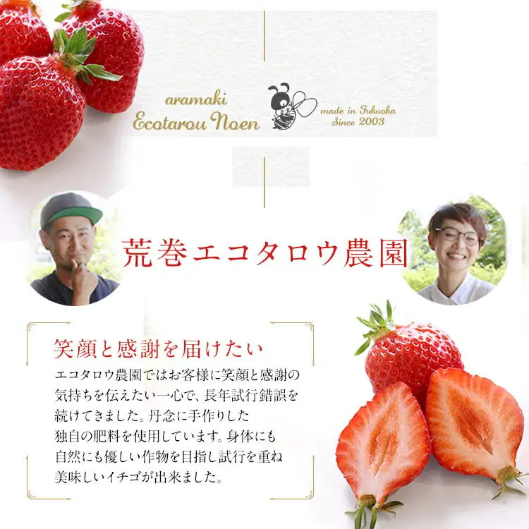 プレミアム熟成いちごジャムセット（200ml×3瓶）　【2026年2月以降】　BJ01