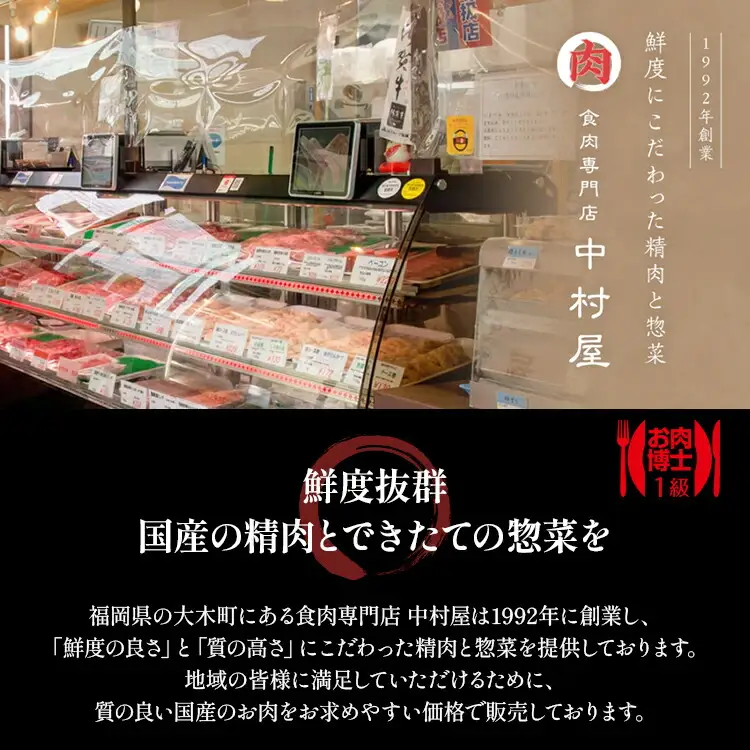 中村屋特製　手づくりハンバーグ（100g×8個　ソース付）　AM001