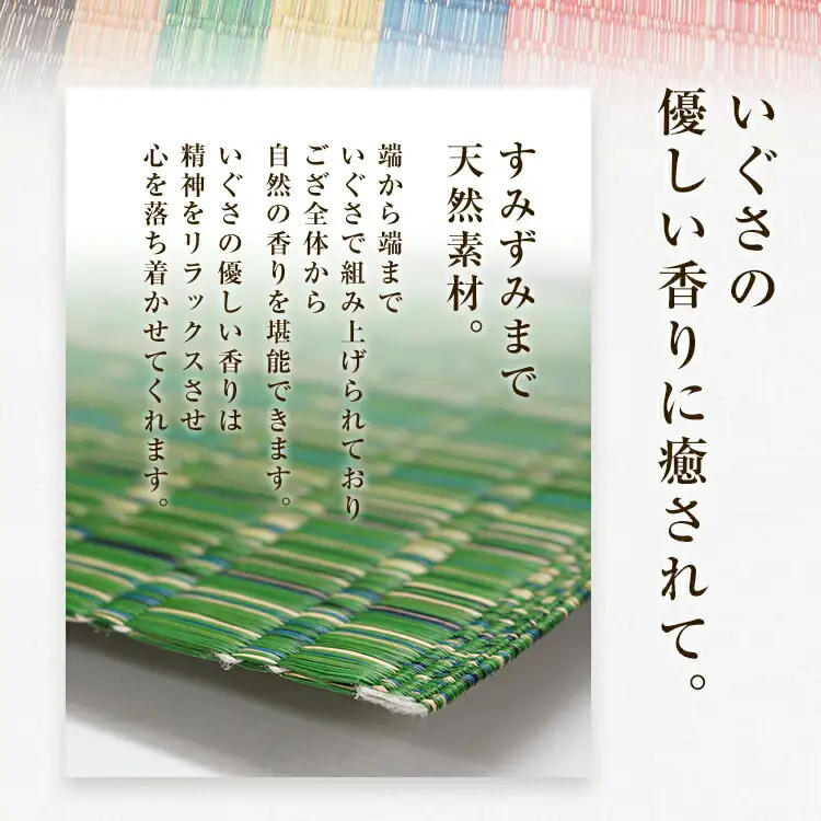 純国産天然いぐさ　「掛川　虹」１畳（緑色）　BG002