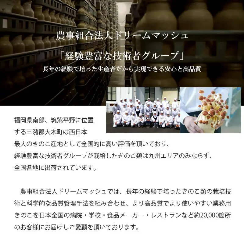 博多すぎたけ　フリーズドライ味噌汁（20食セット）　AU01