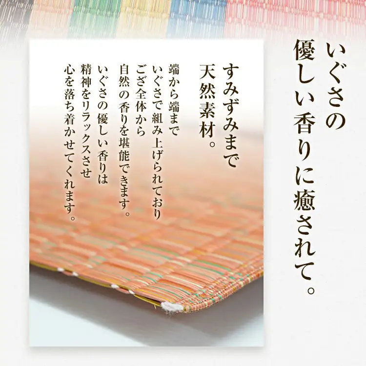 純国産天然いぐさ　「掛川　虹」１畳（桃色）　BG005