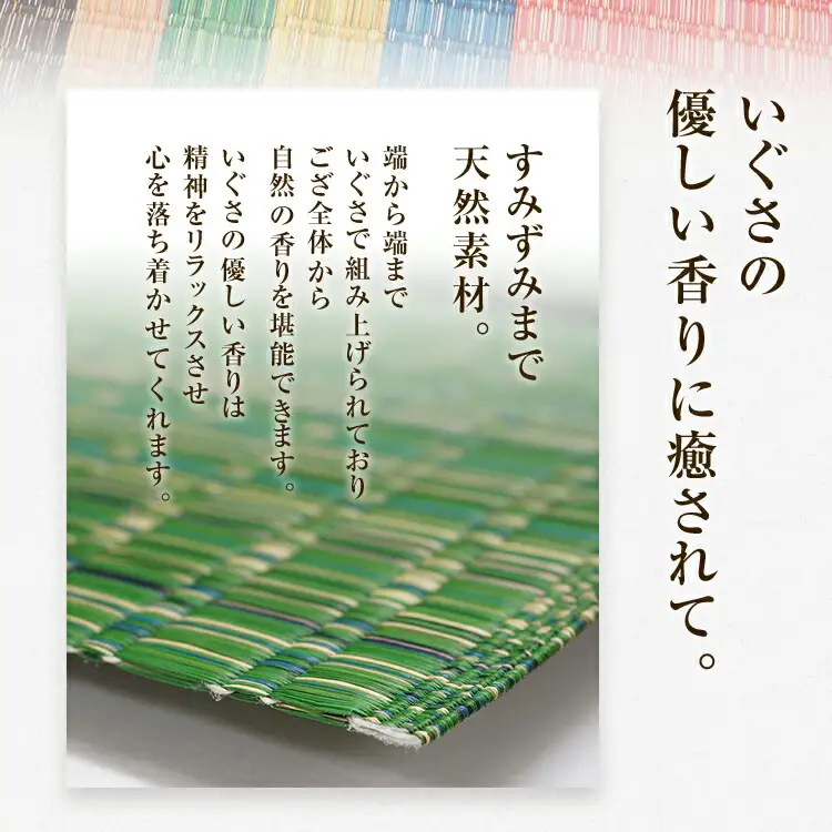 純国産天然いぐさ　「掛川　虹」２畳（緑色）　BG007