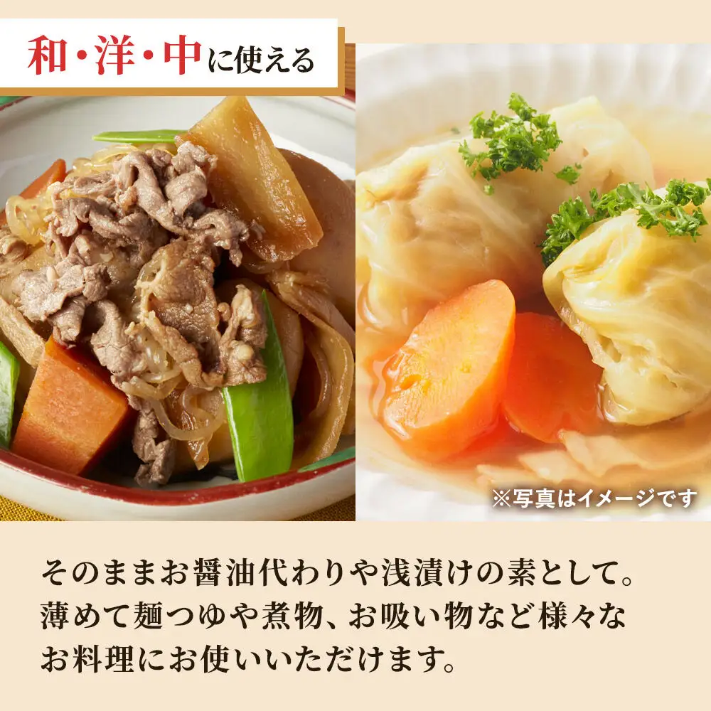 万能つゆ 味どうらくの里 500ml×10本【東北醤油】 ペットボトル