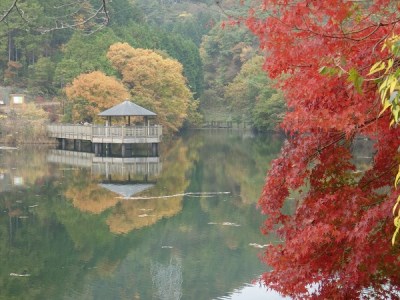 大正池グリーンパーク・大正池渓流魚センター共通利用券（9,000円分）【118】