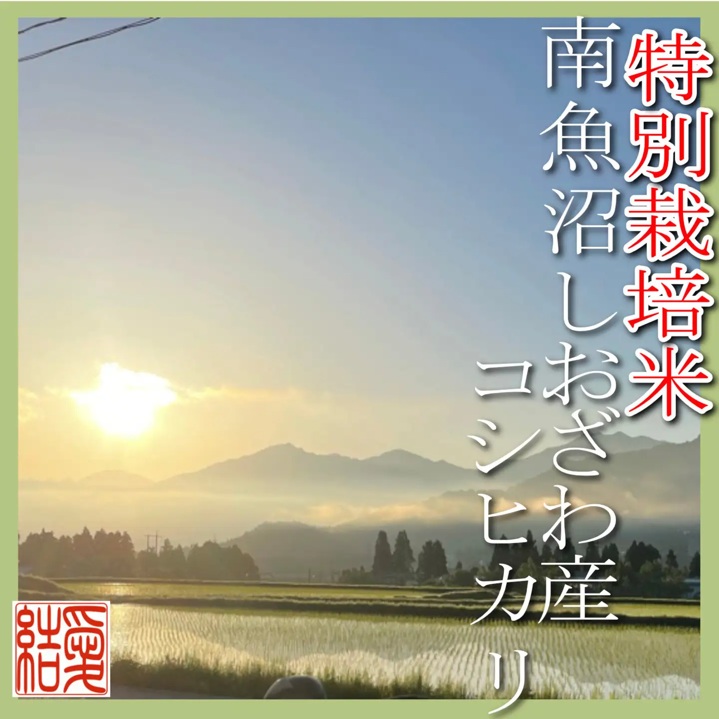 【令和7年産】【定期便10Kg×6ヶ月】【特別栽培米】 契約生産者限定  南魚沼しおざわ産コシヒカリ【定期便 銘柄米 ブランド米 精米 こしひかり コシヒカリ 魚沼産 新潟米 産地直送 お米 米 こめ コメ ご飯 御飯 ごはん】