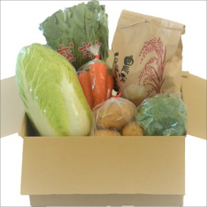 農漁村体験の聖地「松浦党の里」旬の野菜とお米(3kg)セット【119-0001】