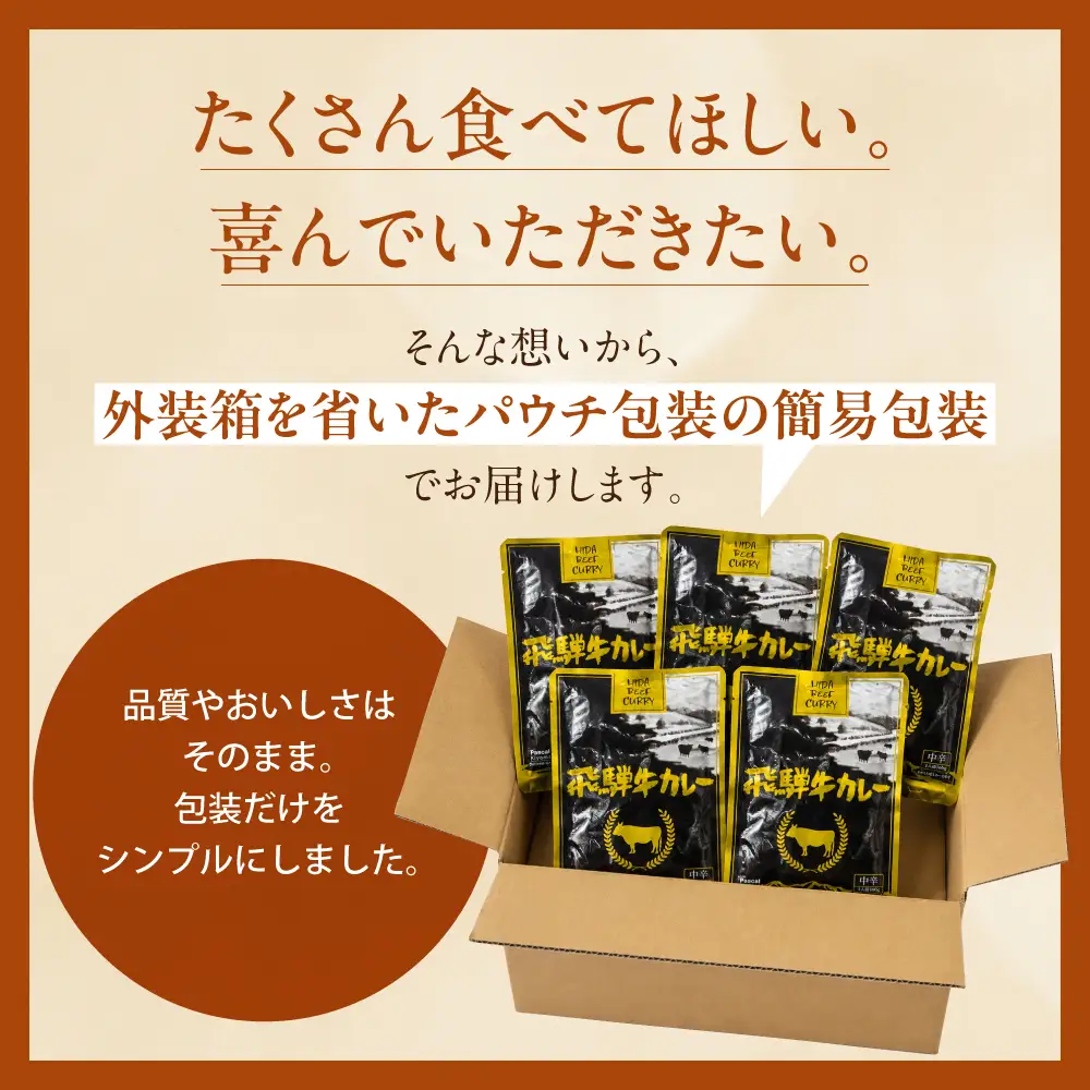 飛騨牛カレー 訳あり（160ｇ×5袋) | 訳あり カレー  ビーフ レトルト  ふるさと清見 DC005VC13