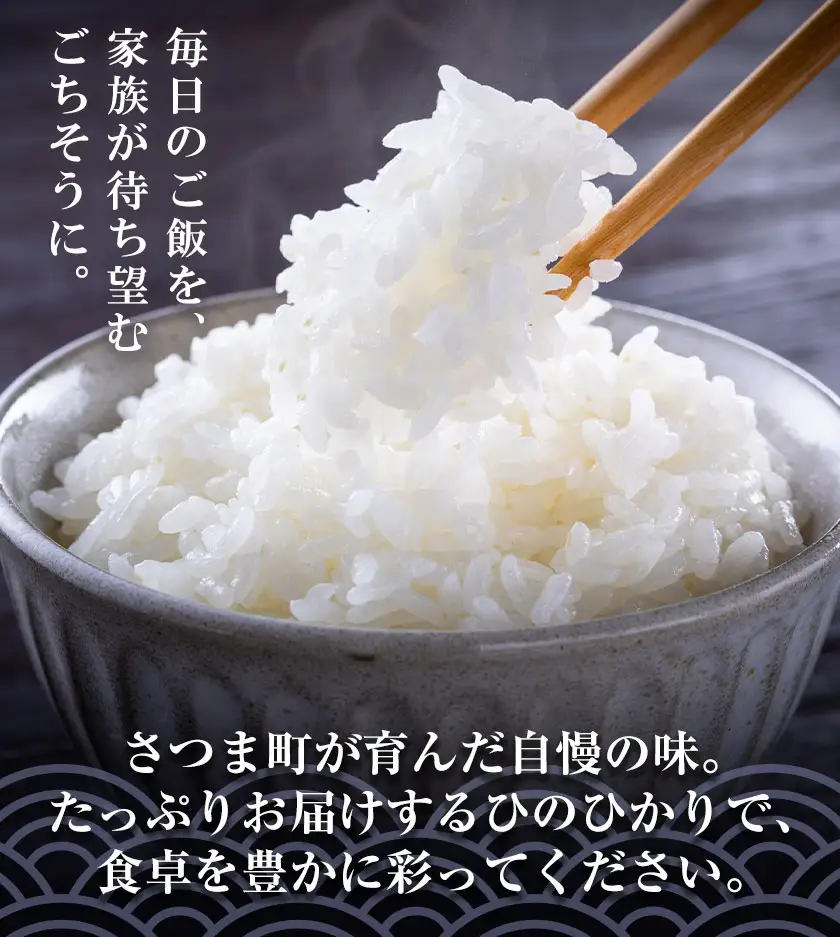 お米 白米 ひのひかり 5kg×2袋 有限会社 谷口商店 《30日以内出荷予定(土日祝除く)》