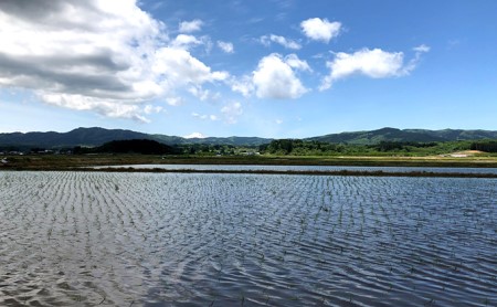 令和7年産 新米 羽後町産 あきたこまち 無洗米「お米の贈り物」300g（2合） パッケージ入り [ 米 お米 ごはん 美味しい 国産米 ] 