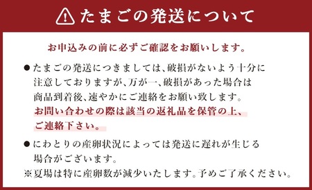 【6ヶ月定期便】鶏卵 30ヶ入×6回 合計180個 たまご 福岡県産